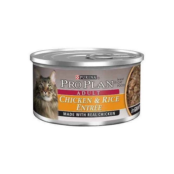 Purina Pro Plan Adult Cat Chicken And Rice 3oz