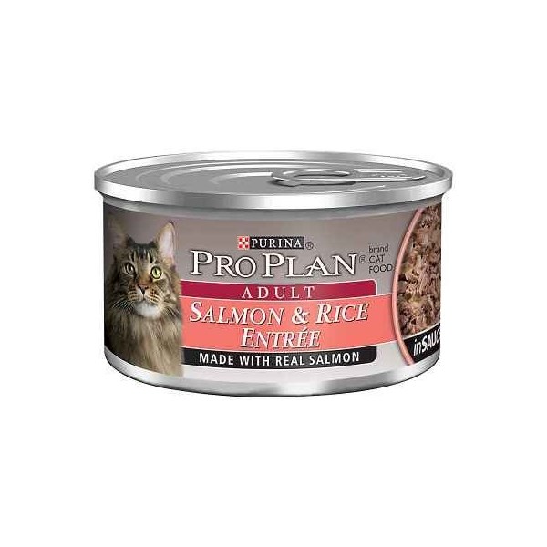 Purina Pro Plan Adult Cat Salmon And Rice 3oz