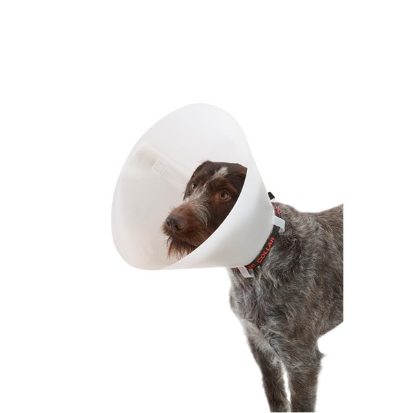 Collar Buster Classic Set of 7