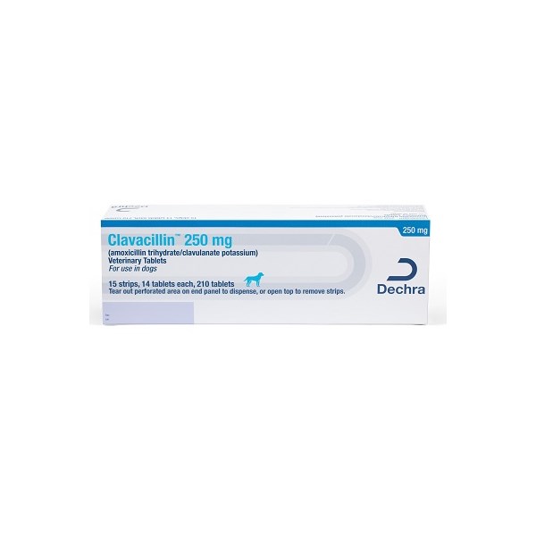 Clavacillin Tab 250mg 210ct (amoxicillin trihydrate/clavulanate potassium)