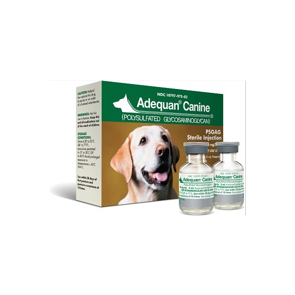 Adequan 500mg 2 x 5ml