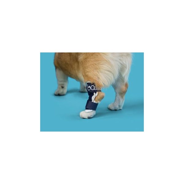 Balto Hock Brace Large