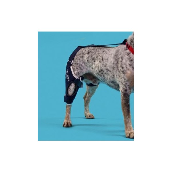 Balto Jump Knee Brace Right XX Small
