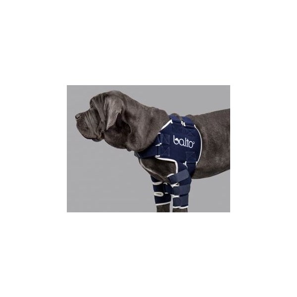 Balto Lux Shoulder Brace Large