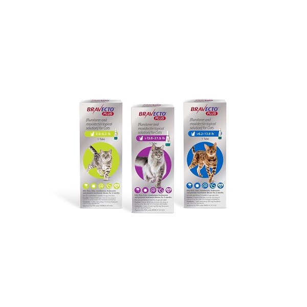 Bravecto Plus Cat Topical Purple 13.8 - 27.5lbs 500mg 1 dose/card 10 cards per box