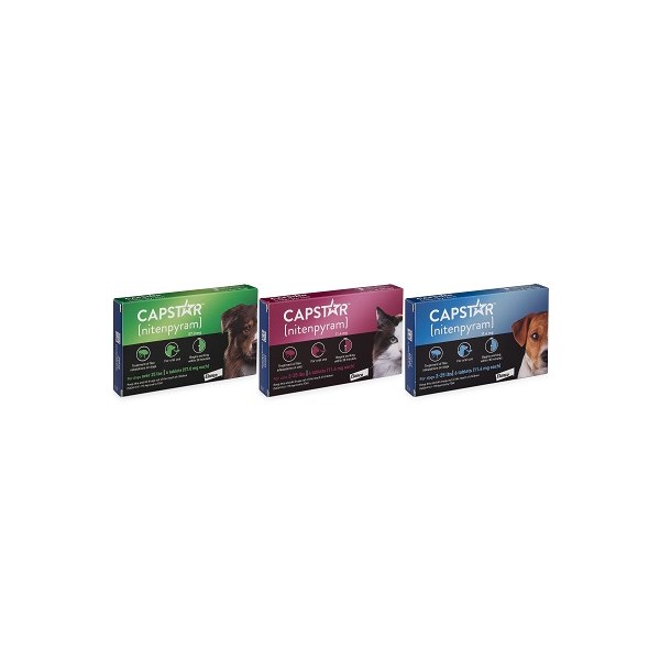 Capstar Tab Blue 2-25lb  Single Card 6 doses