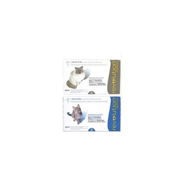 Revolution Cat 5.1-15lb 6ds Card Blue (Must purchase a minimum of 5 cards)