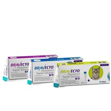 Bravecto Cat Topical Solution 13.8-27.5lb 500mg  Purple 10x1ds